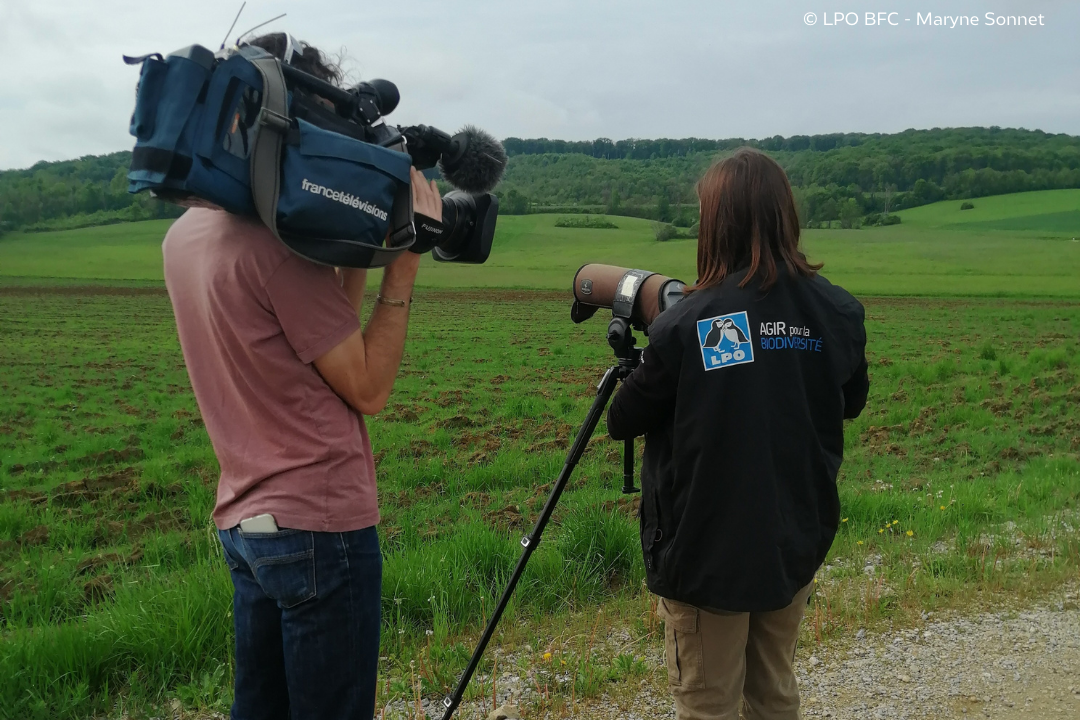 interview presse